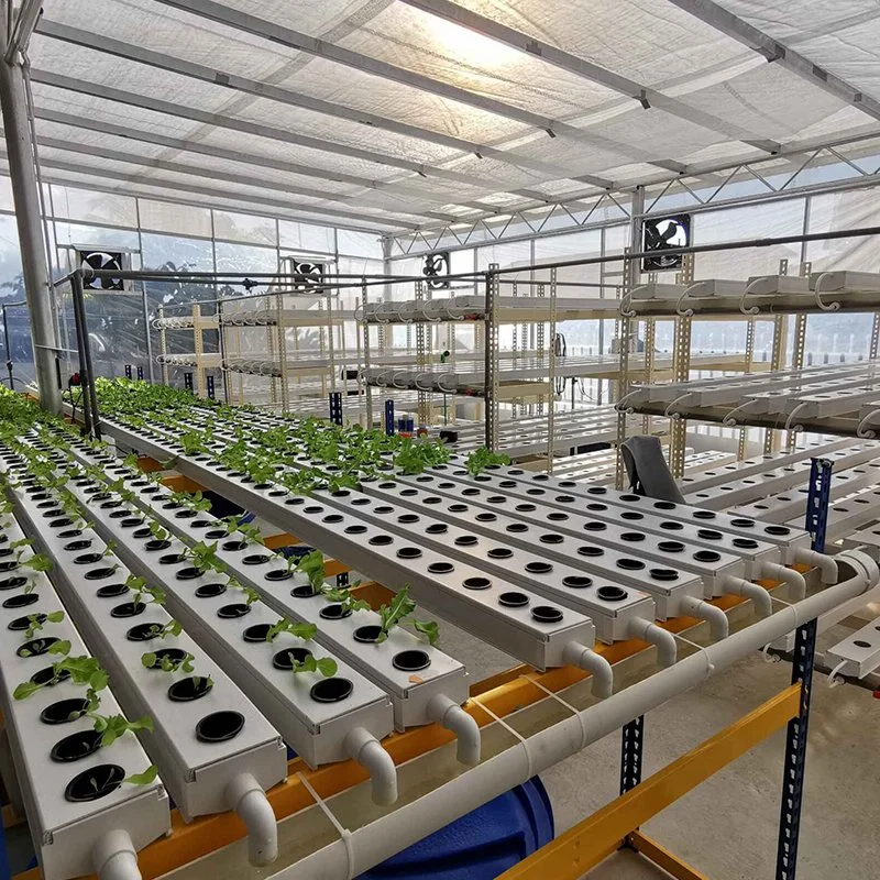 Agriculture Vertical Nft System Horizontal PVC Channel System with Indoor Farming Leafy Greens