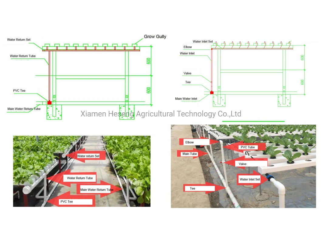 Commercial Hot Sale Hydroponic Channel System in Greenhouse and Farm Nft Hydroponics System with Hydroponics Equipment for Lettuce/Celery/Greens Cultivation