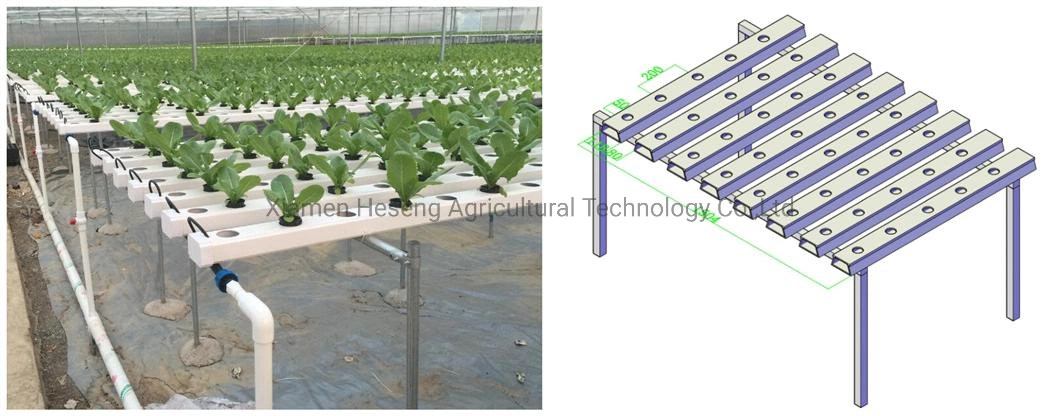 Commercial Hot Sale Hydroponic Channel System in Greenhouse and Farm Nft Hydroponics System with Hydroponics Equipment for Lettuce/Celery/Greens Cultivation